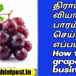 How to do grapes business