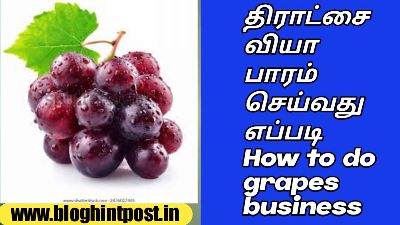 How to do grapes business